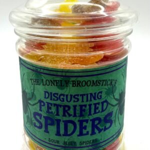 The Lonely Broomstick Petrified Spiders