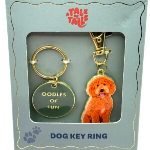 Keyring – Oodles of Fun